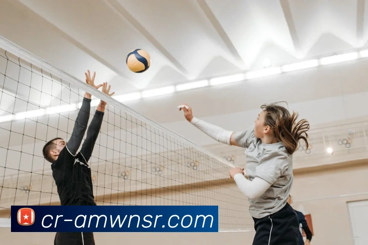 威尼斯人官网平台生态图